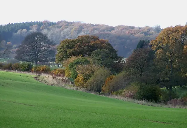 Loughton, United Kingdom
